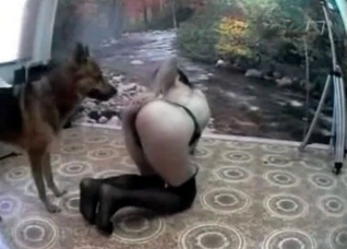 Bitch showing big ass to dog