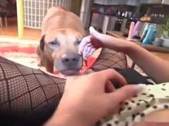 Dog eating whore’s pussy after licking