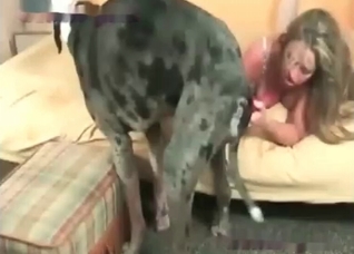 Dog making woman cum licking pussy