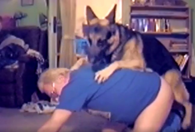 Gay crown giving all fours to the gifted dog
