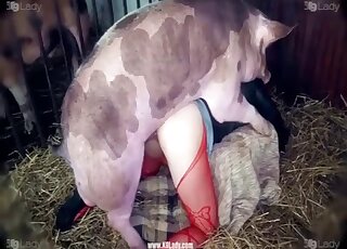 Woman giving pussy on all fours to big pig