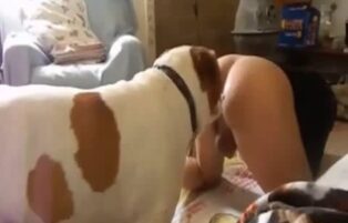 Big-ass gay getting fucked by a gifted dog on all fours with pleasure