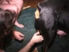 Bitching video with two gay men sucking the dog’s cock