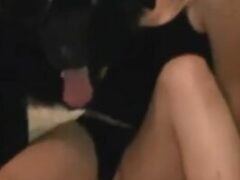 Black dog licking blonde’s pussy