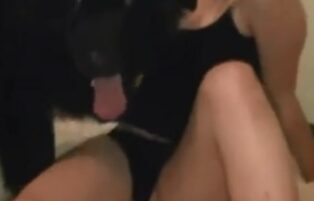 Black dog licking blonde's pussy
