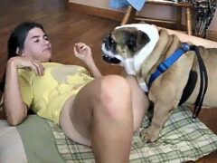 Bulldog fucking woman’s pussy and cumming in her mouth