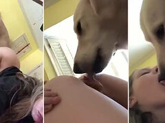 Dog licks brand new dirty pussy and they kiss too