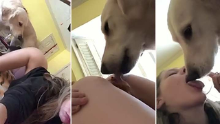 Dog licks brand new dirty pussy and they kiss too
