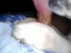 Dog licks owner’s cock and makes man cum