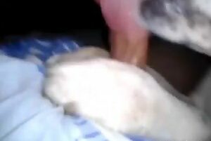 Dog licks owner's cock and makes man cum