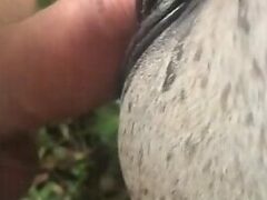 Gifted porn zoophilia cumming in the hot mare’s pussy