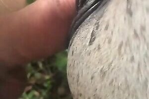 Gifted porn zoophilia cumming in the hot mare's pussy