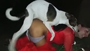 Girl gets on all fours and lets the dog get in her pussy.