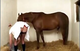 Homemade zoophilia woman sucking thick cock from a horse