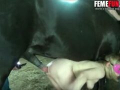 Horse cumming in blonde’s fucked pussy