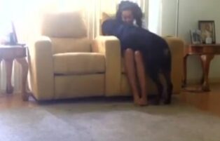 Husband caught wife in the act fucking a dog