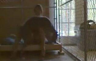 Kennel maid fucking the biggest dog