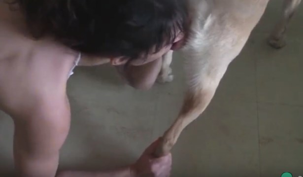 She sucks the dog's cock for the first time and loved it