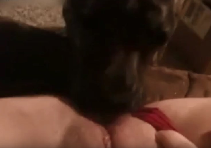 Woman's creamy pussy being licked by dog
