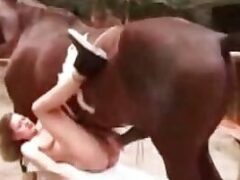 Zoo porn horse enjoying a lot of cum in the pussy of the hot bitch