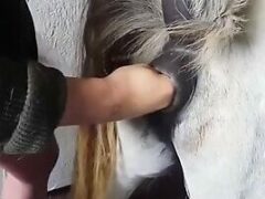 Zoophilia porn man sticking fist in pony’s ass