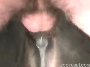 Man Fucks Mare Porn - Man making mare cum in good fuck - Zoo Xvideos