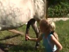 Woman masturbating the big cock horse