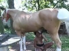 Animal having sex and cumming a lot in the bitch’s mouth