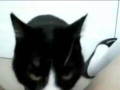 Cat licking the naked owner’s pussy