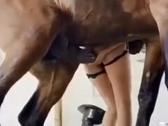 Cocky horse eating the hot new one