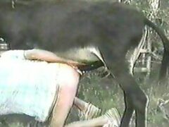 Donkey eating fagot from the hot ass