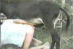 Animal Porn Donkey - Donkey eating fagot from the hot ass - Zoo Xvideos