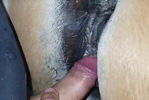 Eating mare's asshole and cumming inside