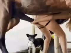 Woman fucking standing up with big dick horse