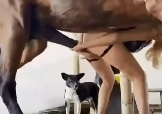 Xxx Bbw Woman Fucking Horse - Woman fucking standing up with big dick horse - Zoo Xvideos
