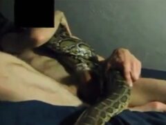 Man fucking snake horny and cumming