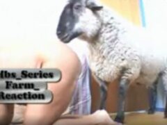 Woman giving to goat in zoophilia fuck