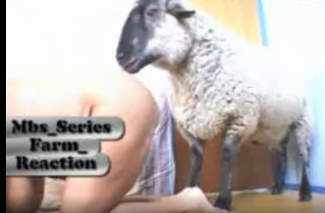 Sheep With Human Porn - Woman giving to goat in zoophilia fuck - Zoo Xvideos