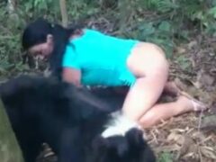 Woman having sex with a dog in the woods xvideos