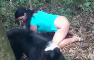 Woman having sex with a dog in the woods xvideos