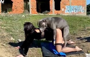 Xvideos woman with dog having sex