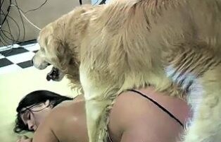 Zoofeliagratis dog cumming on lesbian slut