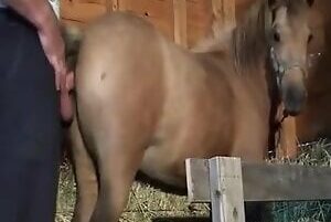 Fucking mare pussy and cumming hot
