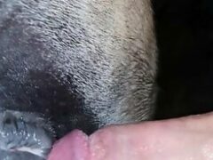 Amateur sex man eating the hot mare