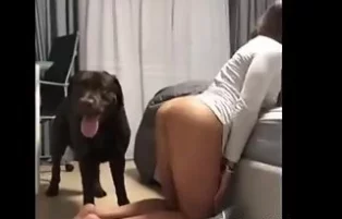 Dog eating the owner of four zoophilia