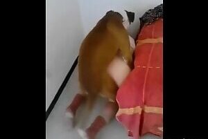 Dog eating woman sticking her ass