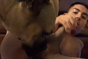 Man having sex with dog gay porn