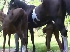Naughty teen having sex with horse hidden from her boyfriend