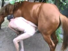 Thin 34 year old gay man getting fucked by a horse