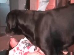 Black dog with 20 centimeters penis fucking woman